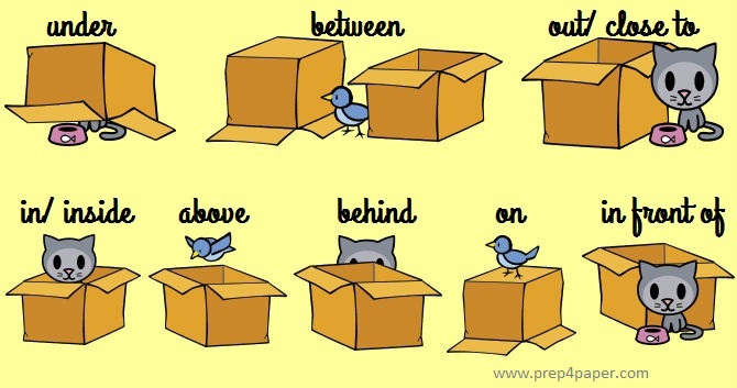 Prepositions of Place/Position